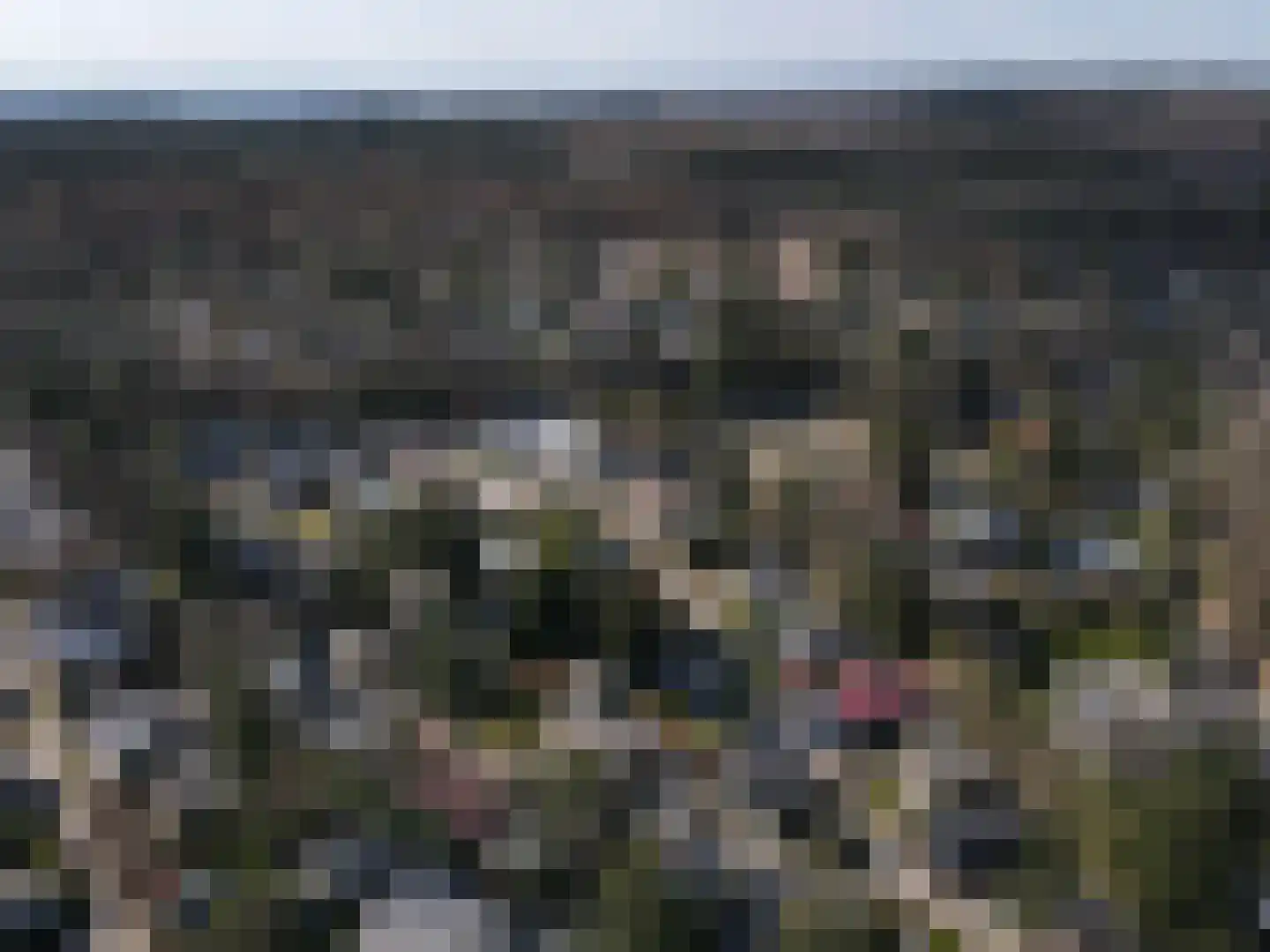 Nieuwe Veenendaalseweg 229 PL05 Rhenen thumbnail 22