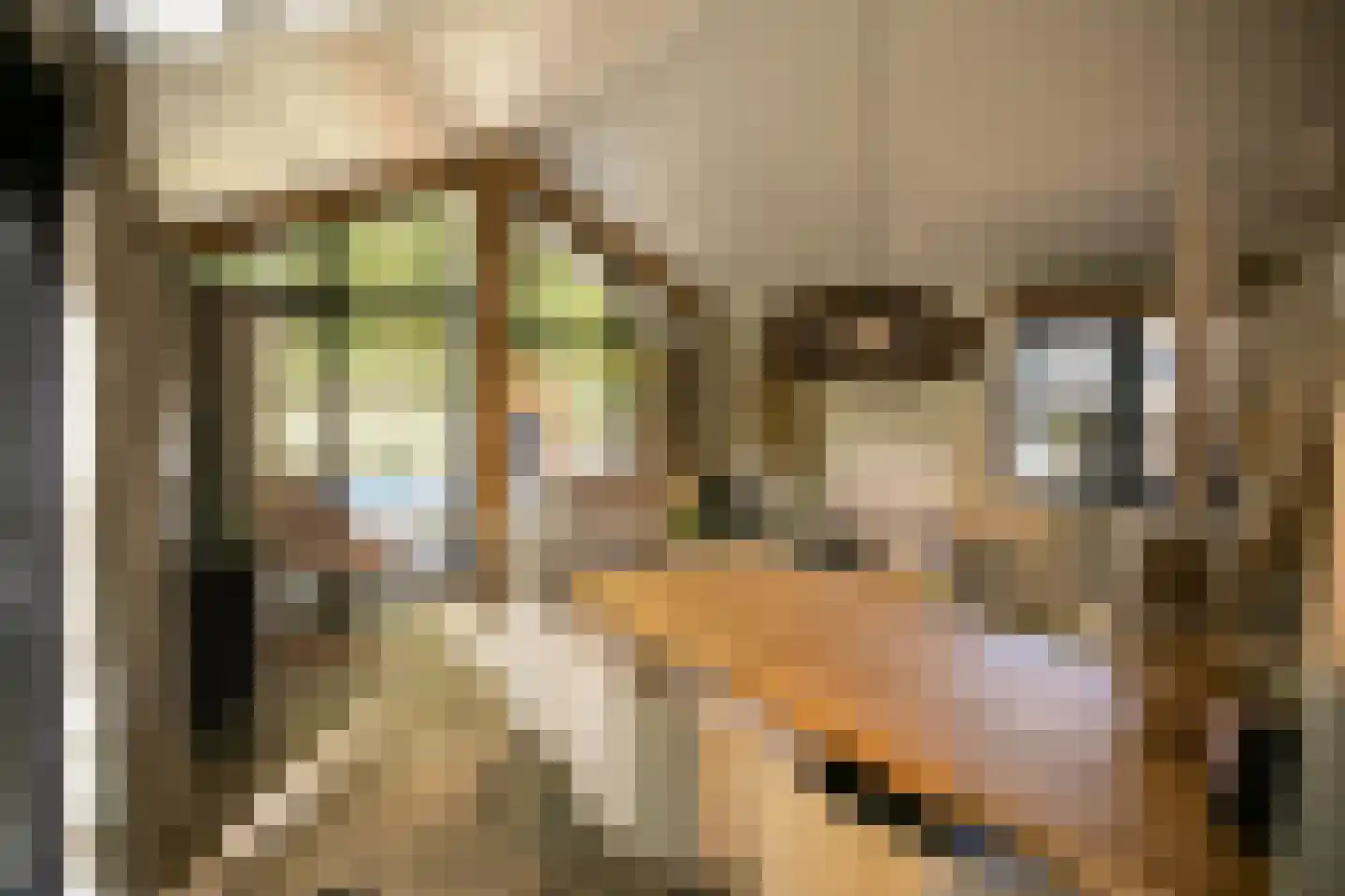 Nieuwe Veenendaalseweg 229 PL05 Rhenen thumbnail 6