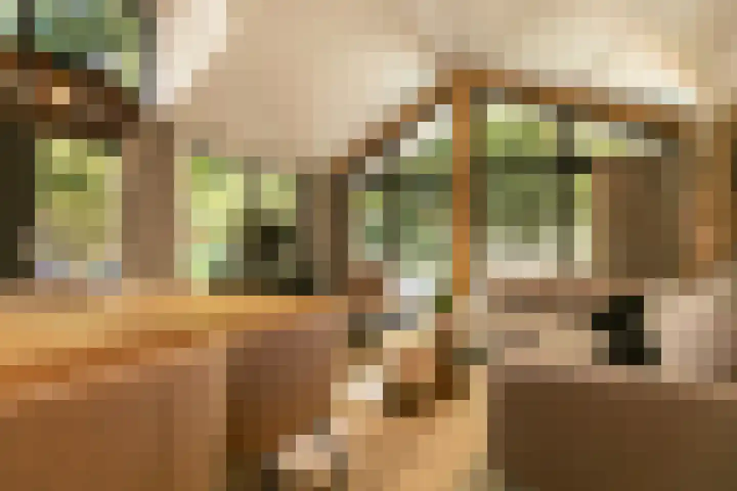Nieuwe Veenendaalseweg 229 PL05 Rhenen thumbnail 7
