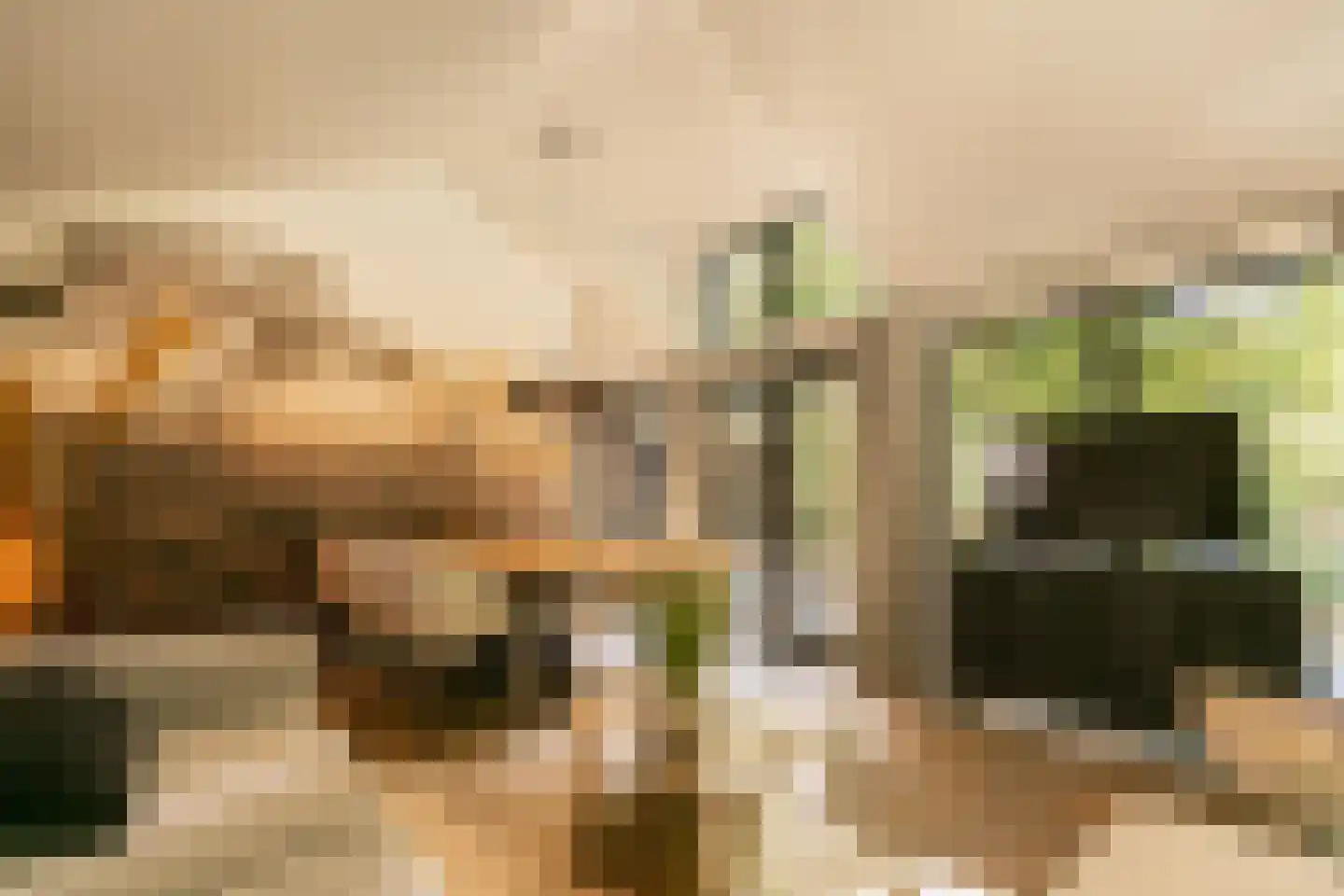 Nieuwe Veenendaalseweg 229 PL05 Rhenen thumbnail 8