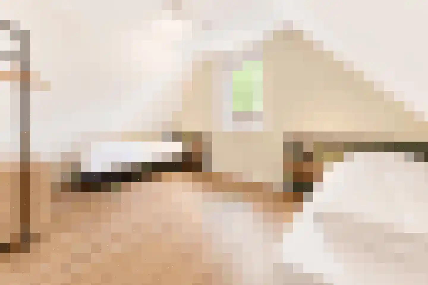 Nieuwe Veenendaalseweg 233 11 Rhenen thumbnail 16