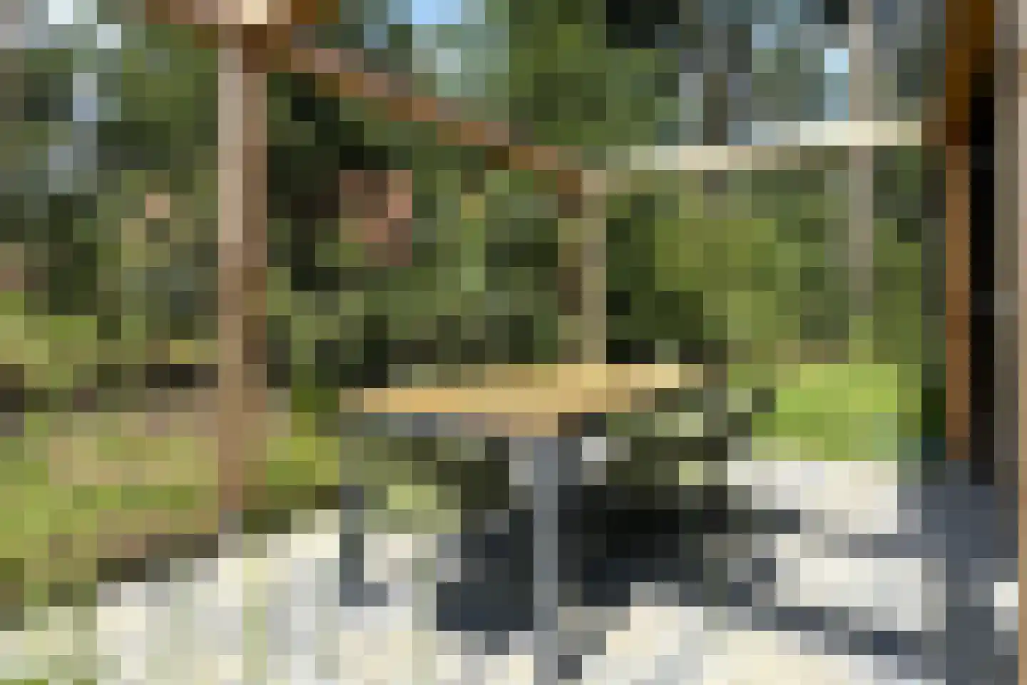 Nieuwe Veenendaalseweg 233 11 Rhenen thumbnail 4