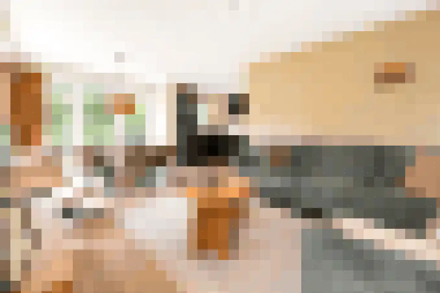 Nieuwe Veenendaalseweg 233 11 Rhenen thumbnail 5