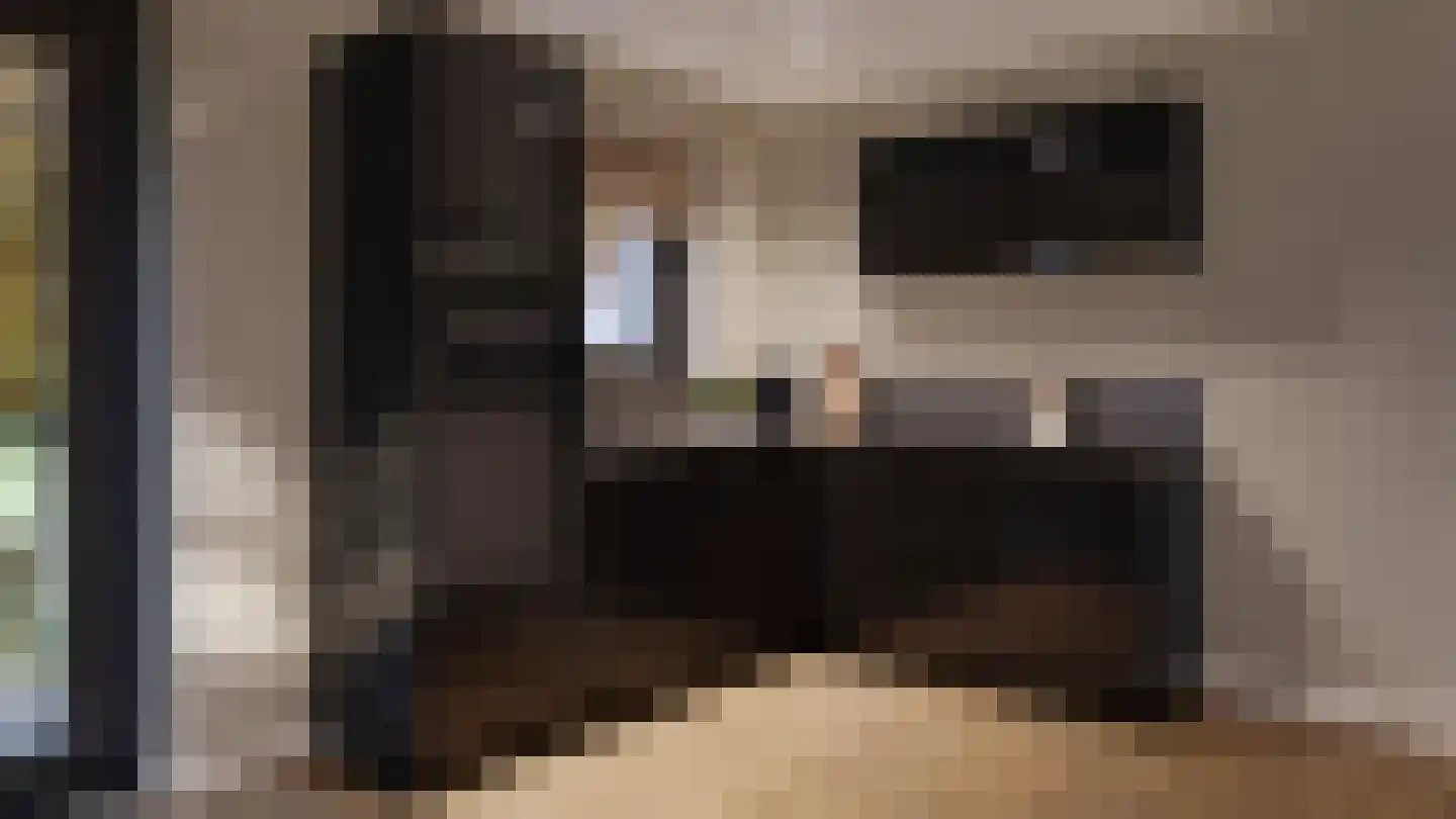 Nieuwe Veenendaalseweg 233 43 Rhenen thumbnail 7