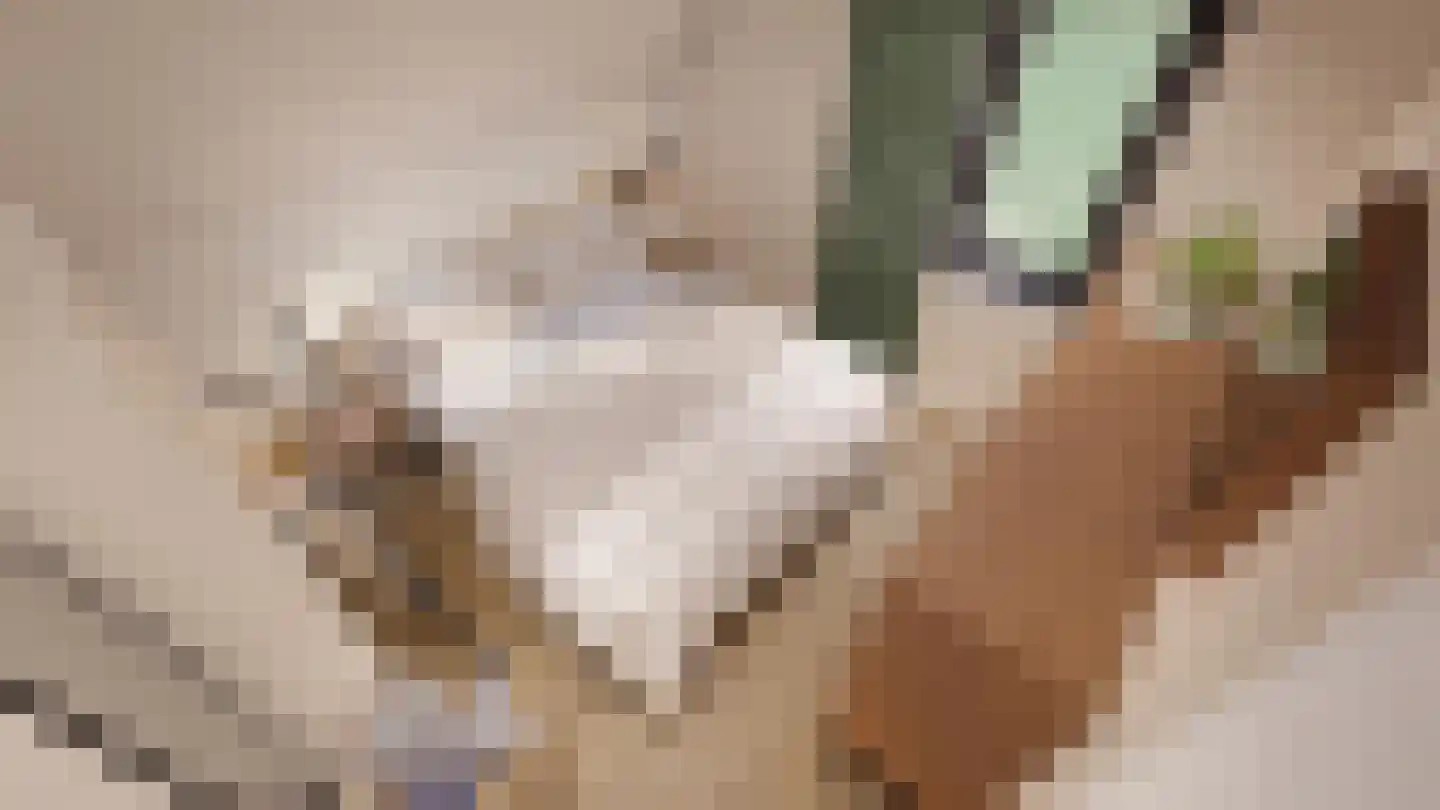 Nieuwe Veenendaalseweg 233 43 Rhenen thumbnail 9