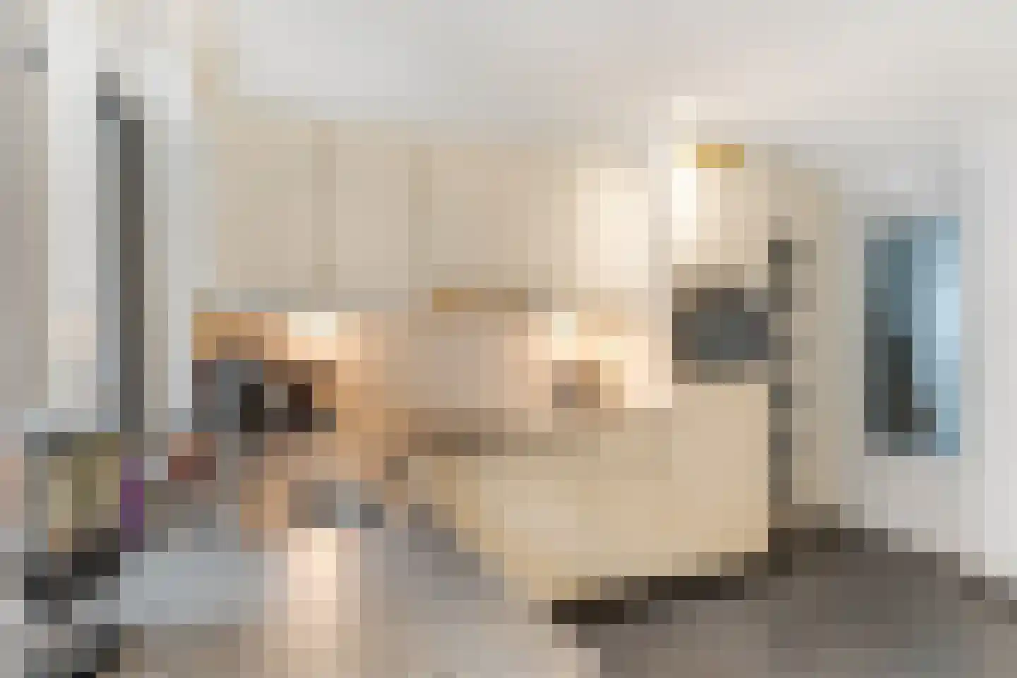 Nieuwe Veenendaalseweg 46 Rhenen thumbnail 12