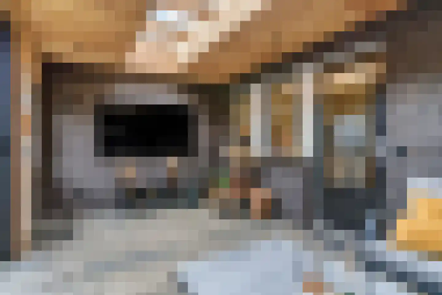 Nieuwe Veenendaalseweg 46 Rhenen thumbnail 24