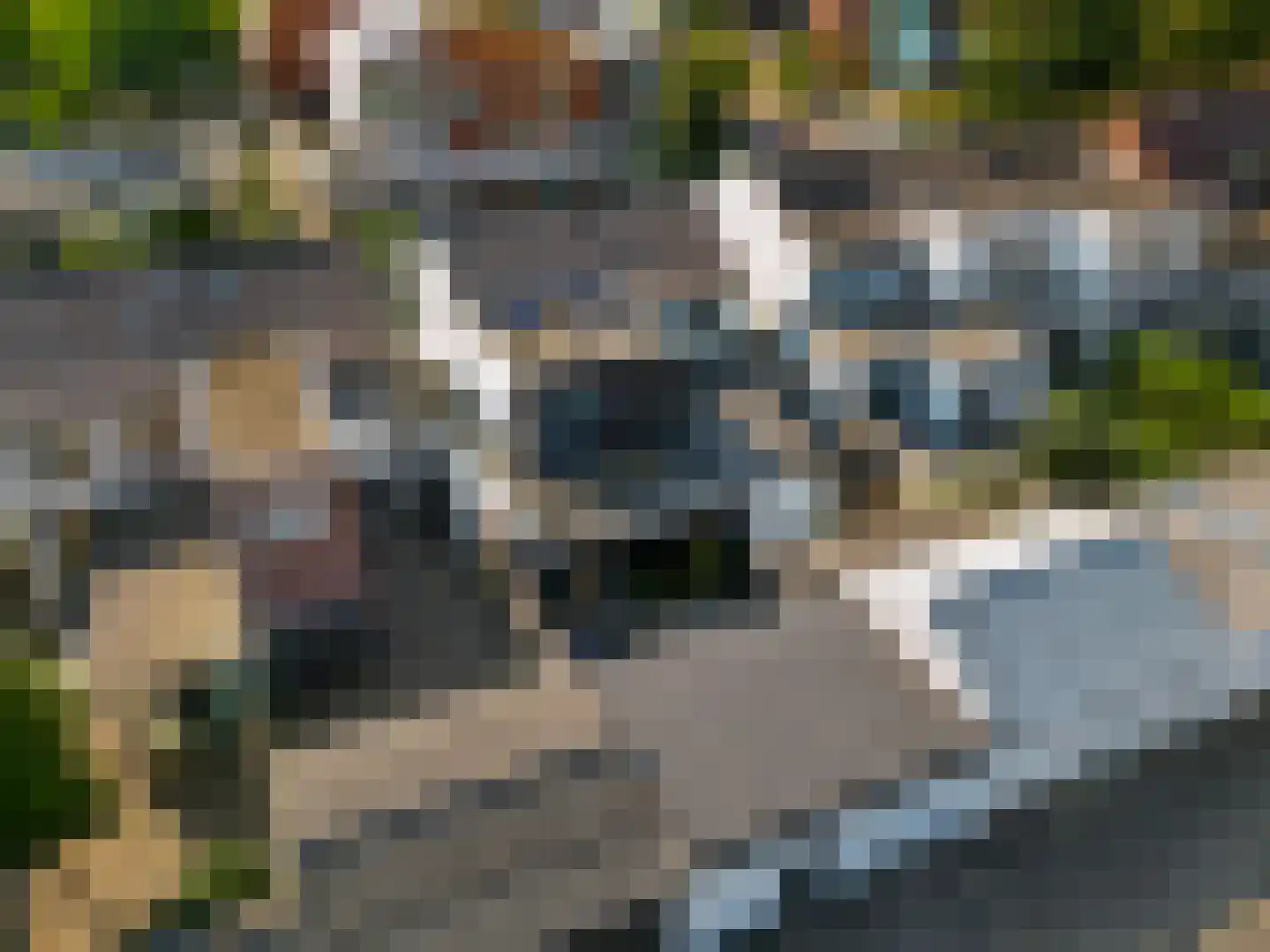 Nieuwe Veenendaalseweg 46 Rhenen thumbnail 30