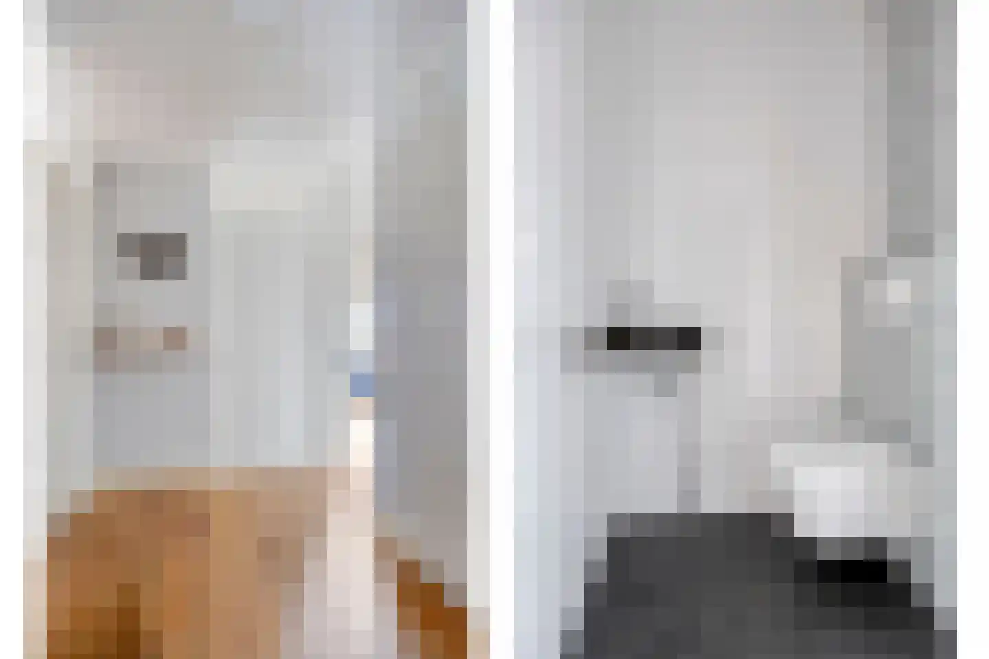 Nieuwe Veenendaalseweg 5 C Rhenen thumbnail 9
