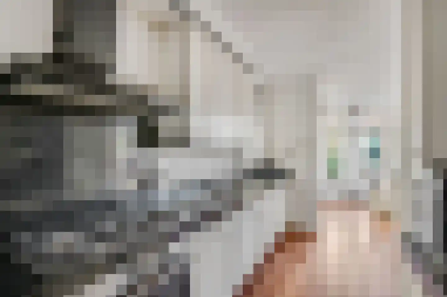 Nieuwe Veenendaalseweg 56 Rhenen thumbnail 13