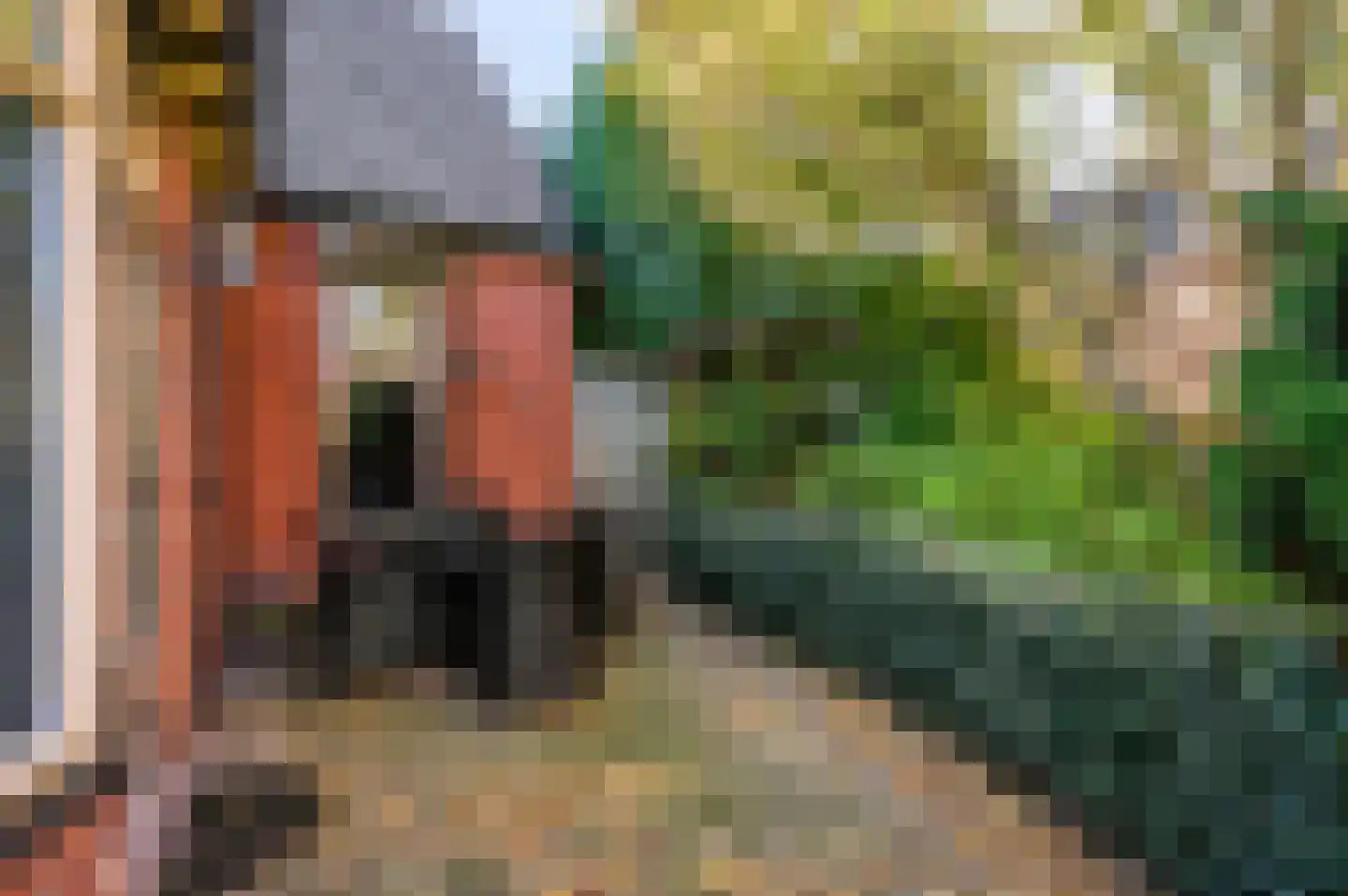 Nieuwe Veenendaalseweg 56 Rhenen thumbnail 31
