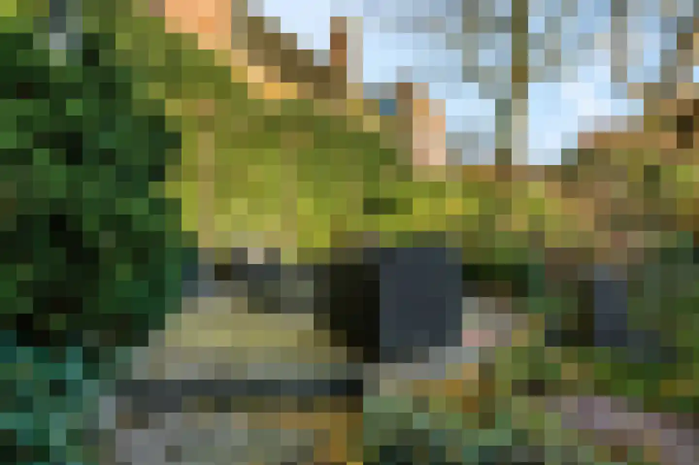Nieuwe Veenendaalseweg 56 Rhenen thumbnail 33
