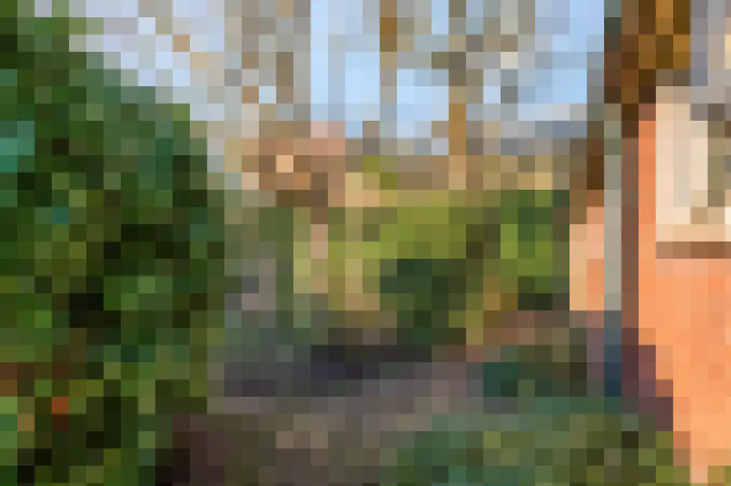 Nieuwe Veenendaalseweg 56 Rhenen thumbnail 35
