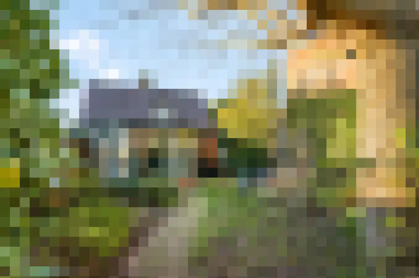Nieuwe Veenendaalseweg 56 Rhenen thumbnail 36