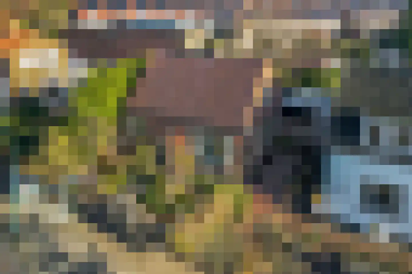 Nieuwe Veenendaalseweg 56 Rhenen thumbnail 37