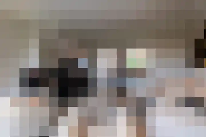 Nieuwe Veer 114 Streefkerk thumbnail 10