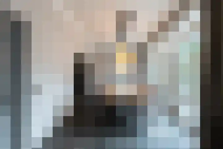 Nieuwe Veer 114 Streefkerk thumbnail 13