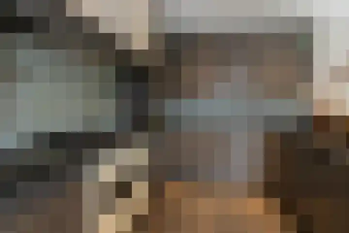 Nieuwe Veer 114 Streefkerk thumbnail 17