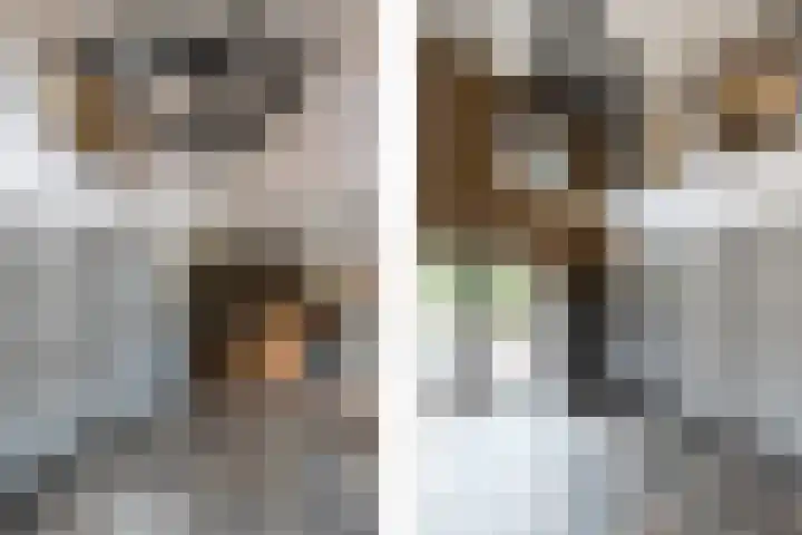 Nieuwe Veer 114 Streefkerk thumbnail 18