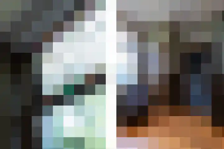 Nieuwe Veer 114 Streefkerk thumbnail 22