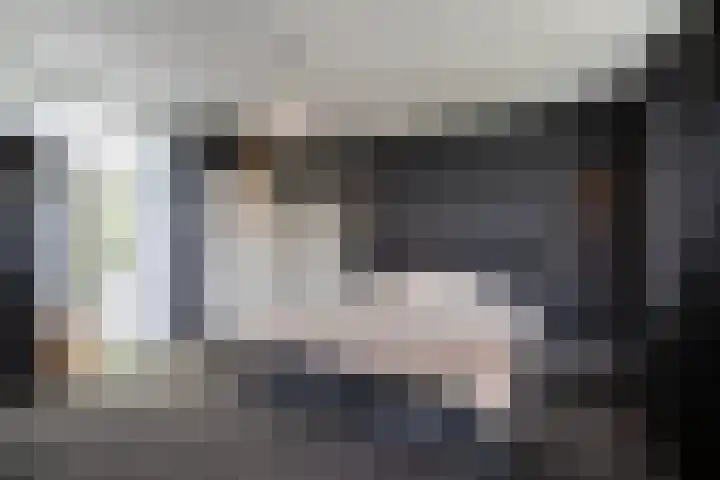 Nieuwe Veer 114 Streefkerk thumbnail 25