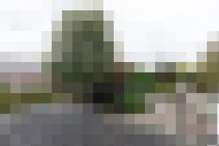 Nieuwe Veer 114 Streefkerk thumbnail 27
