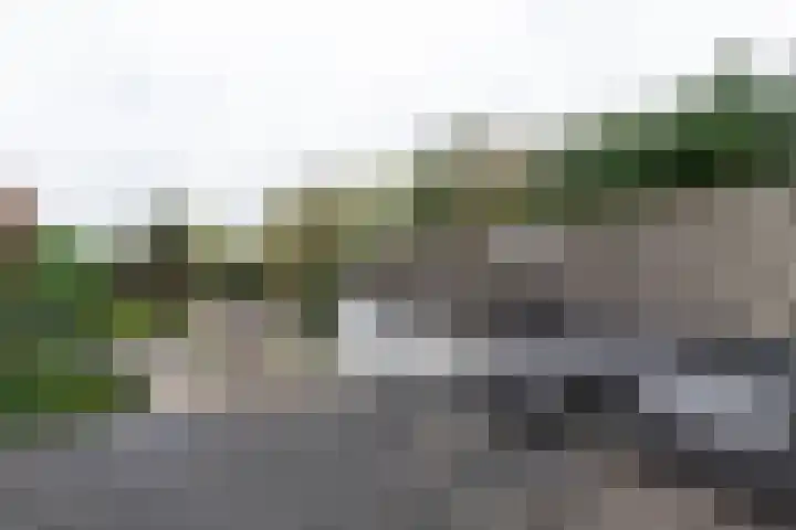 Nieuwe Veer 114 Streefkerk thumbnail 28