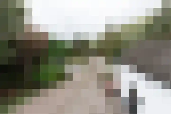 Nieuwe Veer 114 Streefkerk thumbnail 29