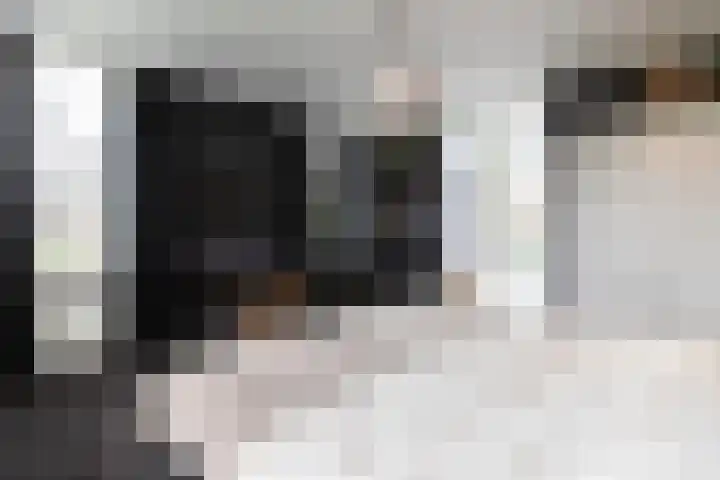 Nieuwe Veer 114 Streefkerk thumbnail 30