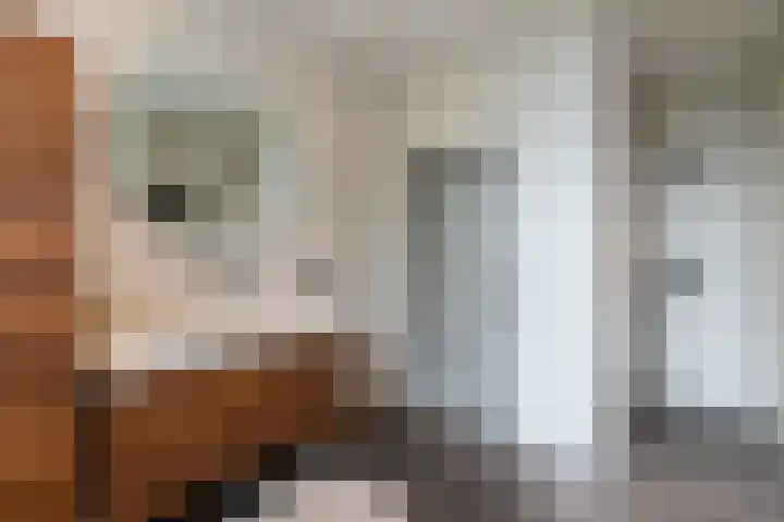 Nieuwe Veer 114 Streefkerk thumbnail 36