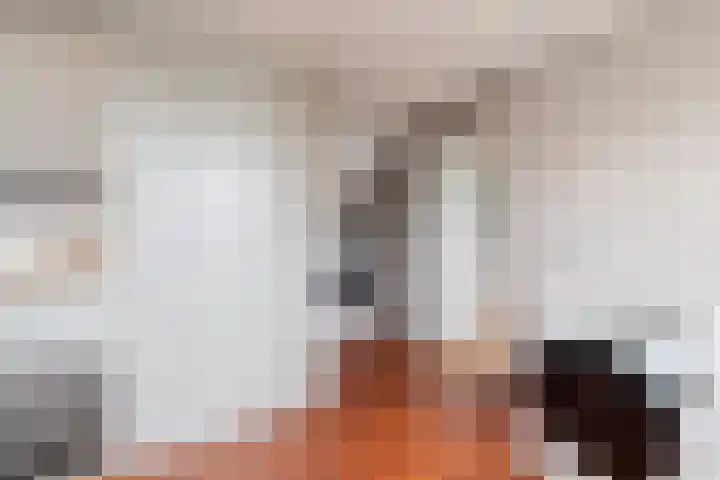 Nieuwe Veer 114 Streefkerk thumbnail 37