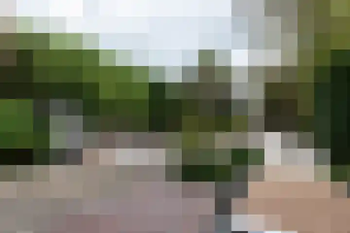 Nieuwe Veer 114 Streefkerk thumbnail 4