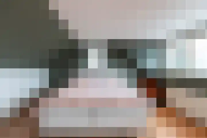 Nieuwe Veer 114 Streefkerk thumbnail 40