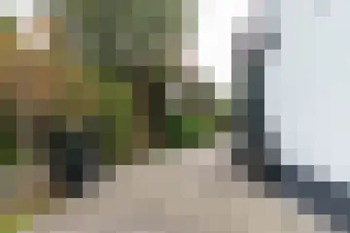 Nieuwe Veer 114 Streefkerk thumbnail 43
