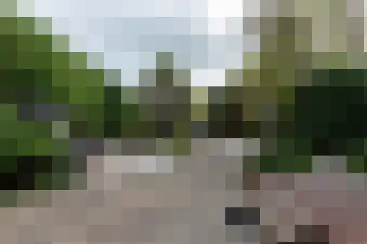 Nieuwe Veer 114 Streefkerk thumbnail 44