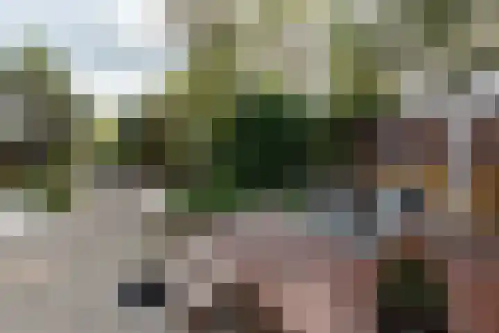 Nieuwe Veer 114 Streefkerk thumbnail 45