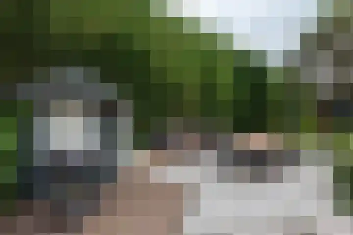 Nieuwe Veer 114 Streefkerk thumbnail 46
