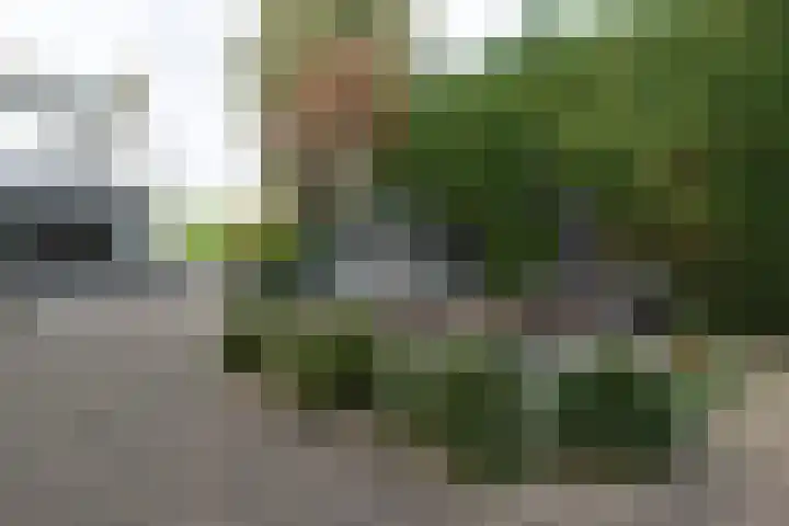 Nieuwe Veer 114 Streefkerk thumbnail 47