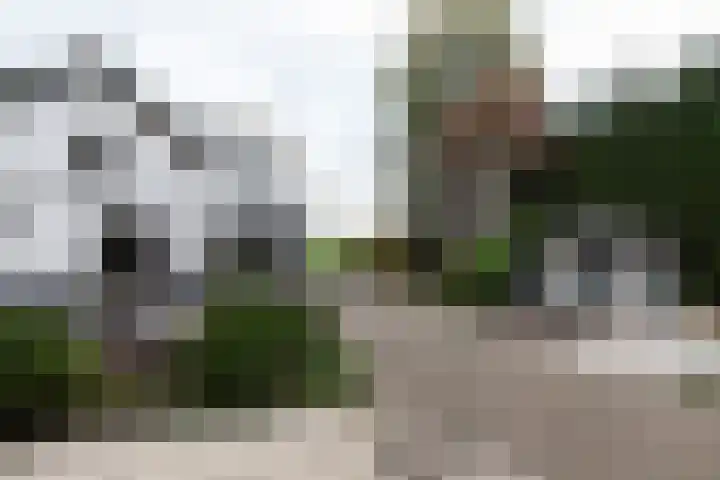 Nieuwe Veer 114 Streefkerk thumbnail 48