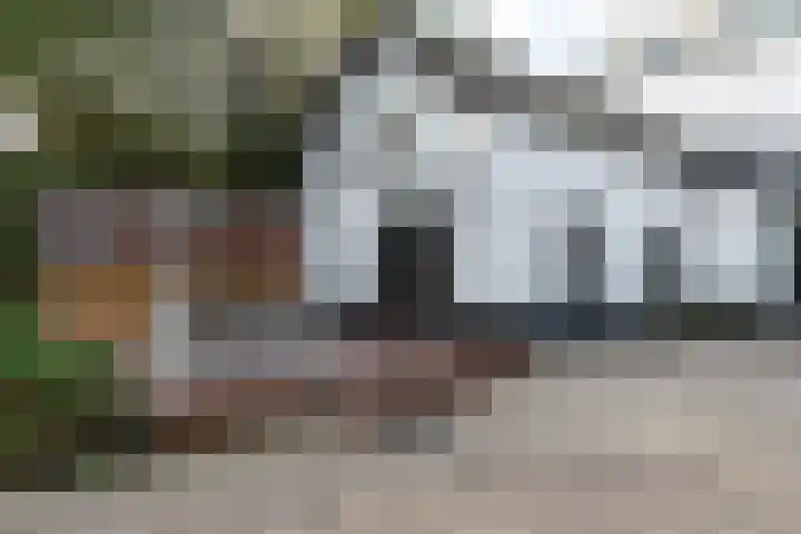 Nieuwe Veer 114 Streefkerk thumbnail 49