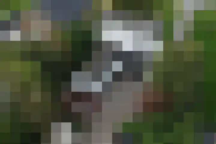 Nieuwe Veer 114 Streefkerk thumbnail 50