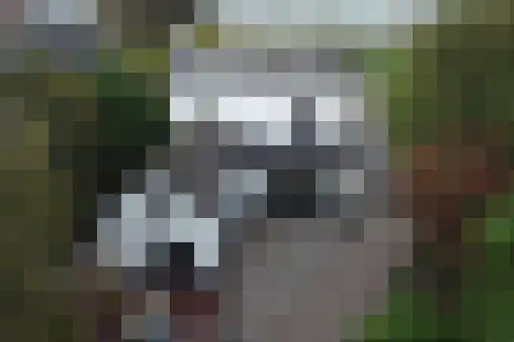 Nieuwe Veer 114 Streefkerk thumbnail 52
