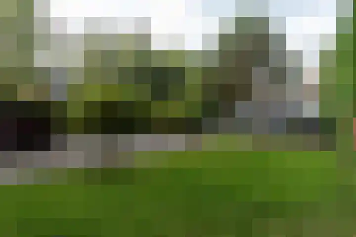 Nieuwe Veer 114 Streefkerk thumbnail 53