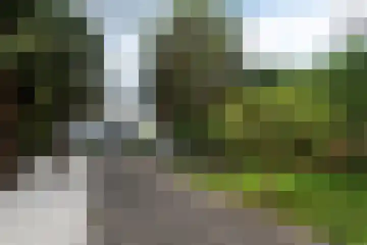 Nieuwe Veer 114 Streefkerk thumbnail 54