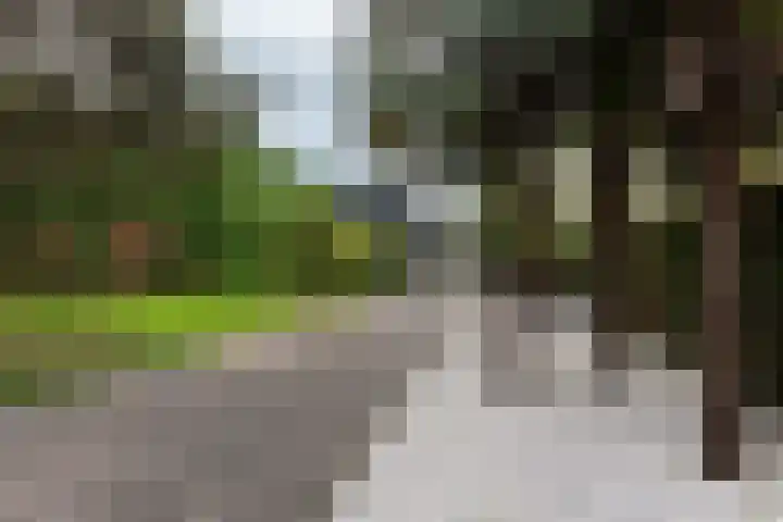 Nieuwe Veer 114 Streefkerk thumbnail 55