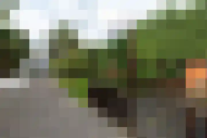 Nieuwe Veer 114 Streefkerk thumbnail 56