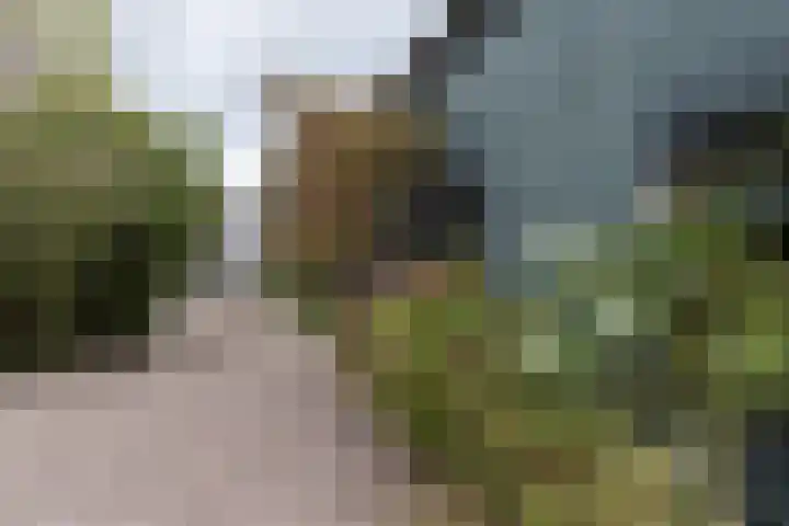 Nieuwe Veer 114 Streefkerk thumbnail 59