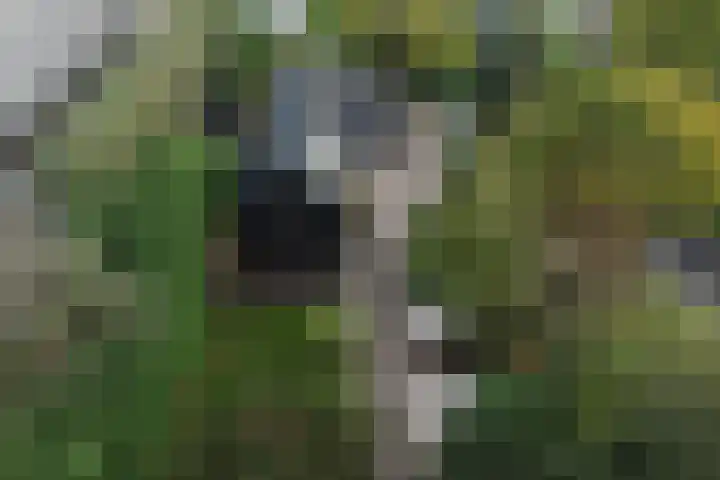 Nieuwe Veer 114 Streefkerk thumbnail 60