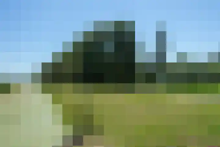 Nieuwe Veer 114 Streefkerk thumbnail 62