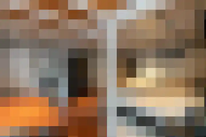 Nieuwe Veer 114 Streefkerk thumbnail 67